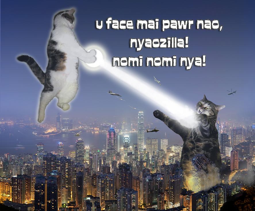 uttimatecatbattle_lolcat.jpg