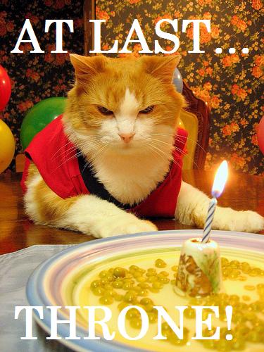 mad-cat-birthday-party.jpg