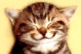 Happy.jpg
