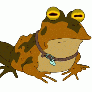 I don't get why people think this is fun-ALL GLORY TO THE HYPNOTOAD.