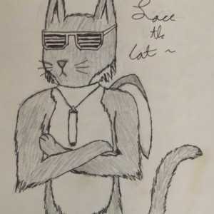Lace is a black and white tabby cat with a penguin's tuxedo design on his fur and penguin wings on his back. He can swim real fast like speed of sound and likes to go to nightclubs. He is bisexual and his parents are DEEEEAAAAAAAAD.

He also has above a