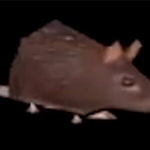 Media '23446.jpg' in album 'Old stuff on my profile'