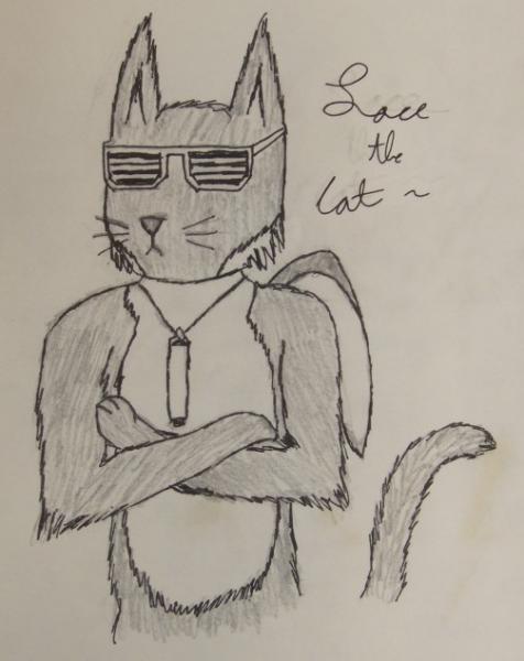 Lace is a black and white tabby cat with a penguin's tuxedo design on his fur and penguin wings on his back. He can swim real fast like speed of sound and likes to go to nightclubs. He is bisexual and his parents are DEEEEAAAAAAAAD.

He also has above a