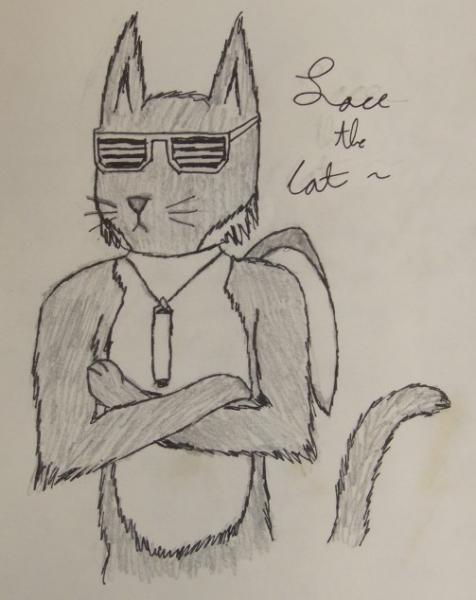 Lace is a black and white tabby cat with a penguin's tuxedo design on his fur and penguin wings on his back. He can swim real fast like speed of sound and likes to go to nightclubs. He is bisexual and his parents are DEEEEAAAAAAAAD.

He also has above a